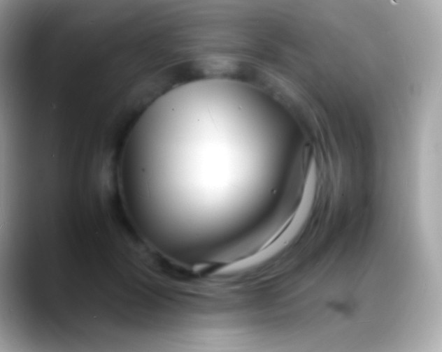 X0000088130604200706041320