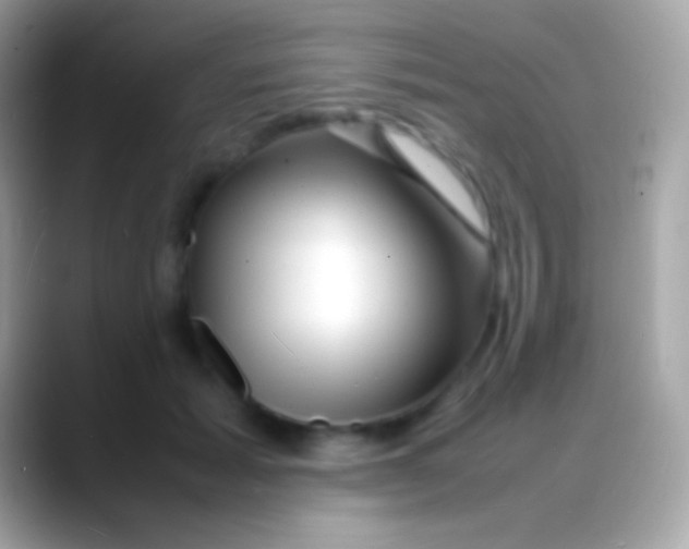 X0000088130605200706041320