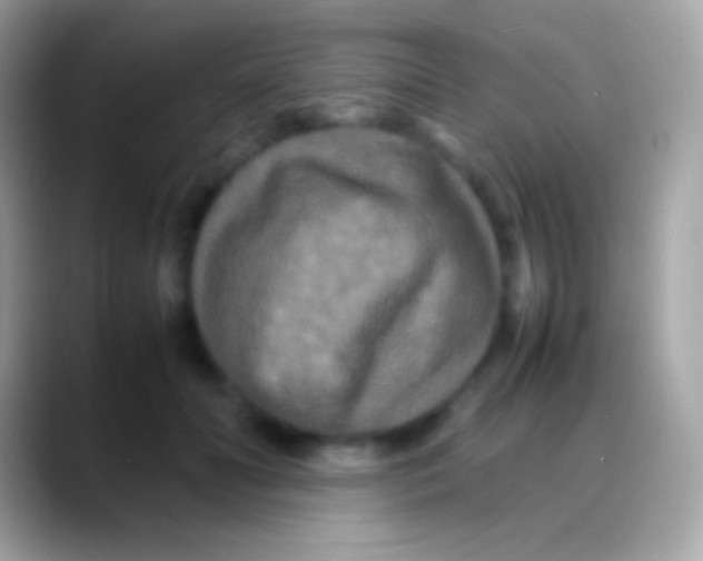 X0000088130606200706041320