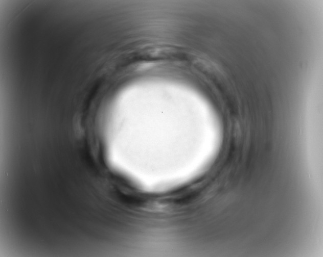 X0000088130607200706041320