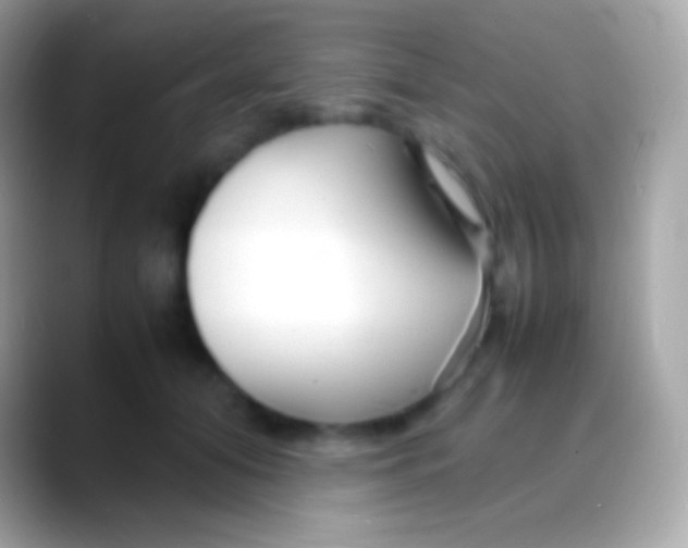 X0000088130608200706041320