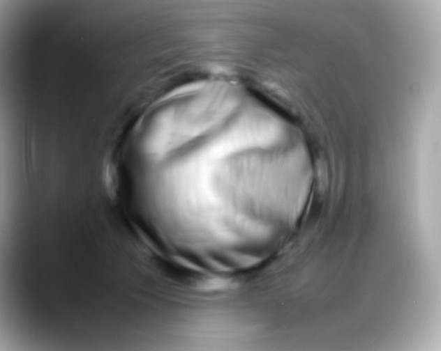 X0000088130609200706041320