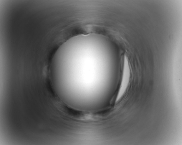 X0000088130611200706041320