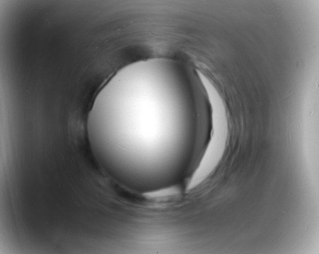 X0000088130613200706041320