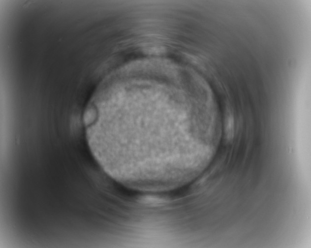 X0000088130614200706041320