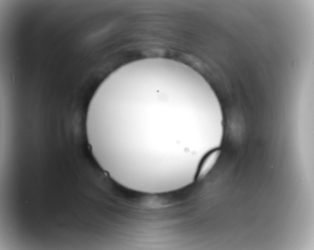 X0000088130616200706041320