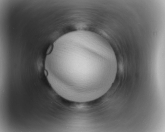 X0000088130618200706041320