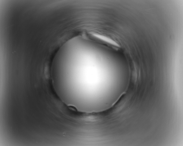 X0000088130620200706041320