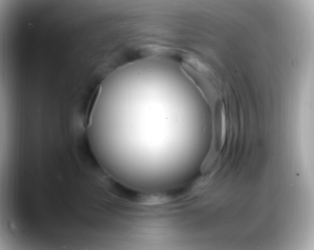 X0000088130621200706041320