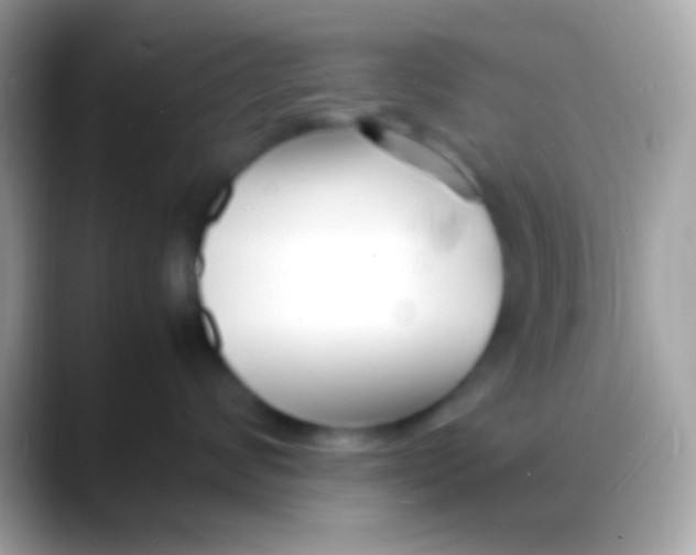 X0000088130624200706041320