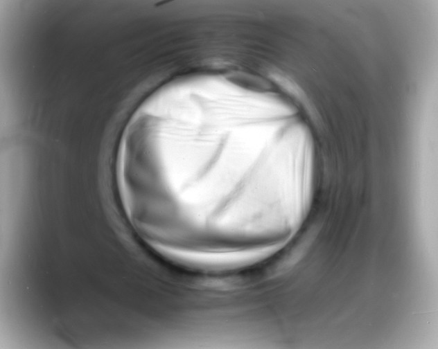 X0000088130625200706041319