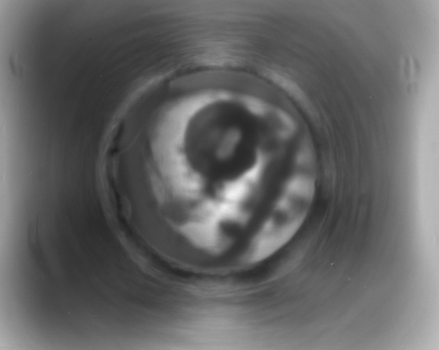 X0000088130626200706041319