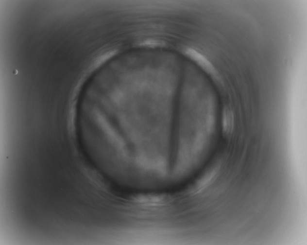 X0000088130627200706041319