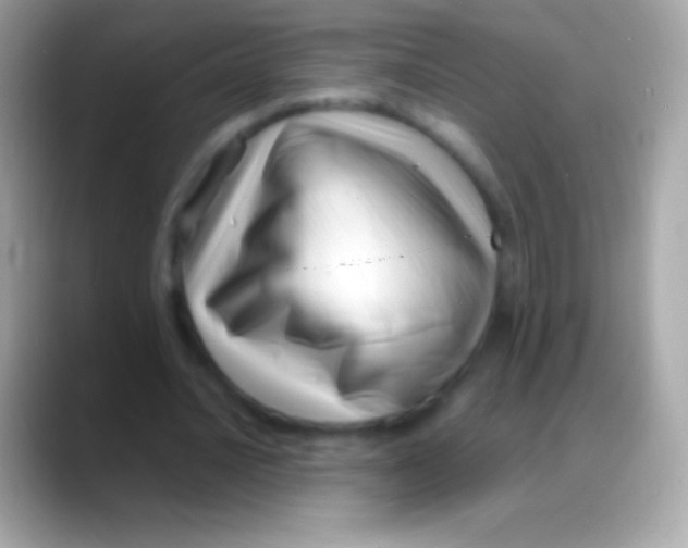 X0000088130628200706041319