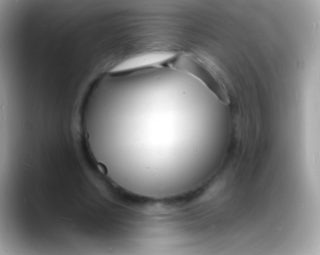 X0000088130634200706041319