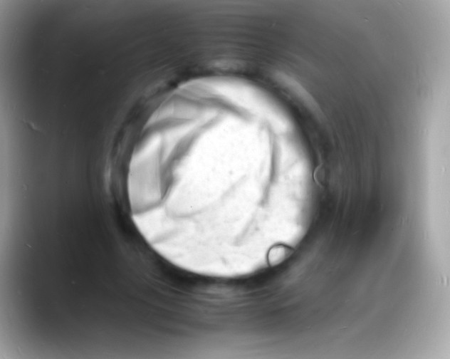 X0000088130635200706041319