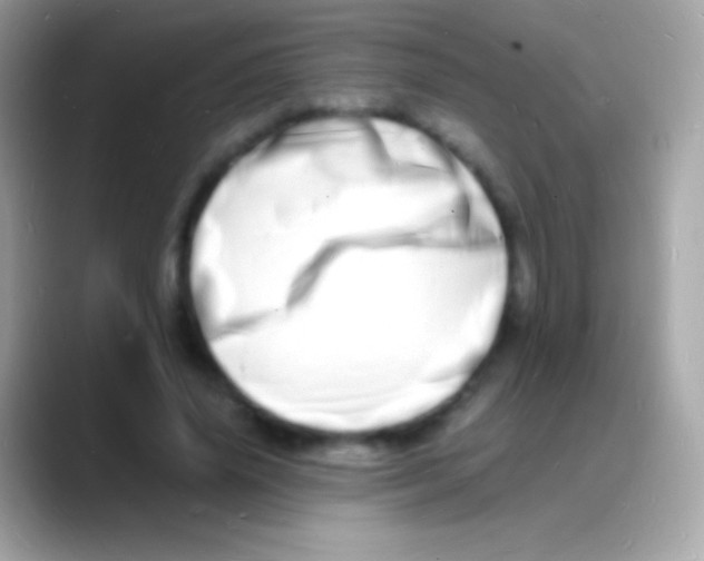 X0000088130636200706041319