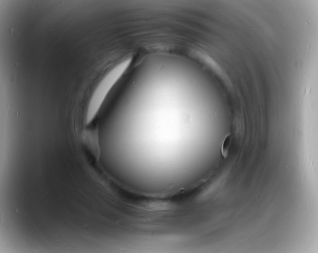 X0000088130637200706041319