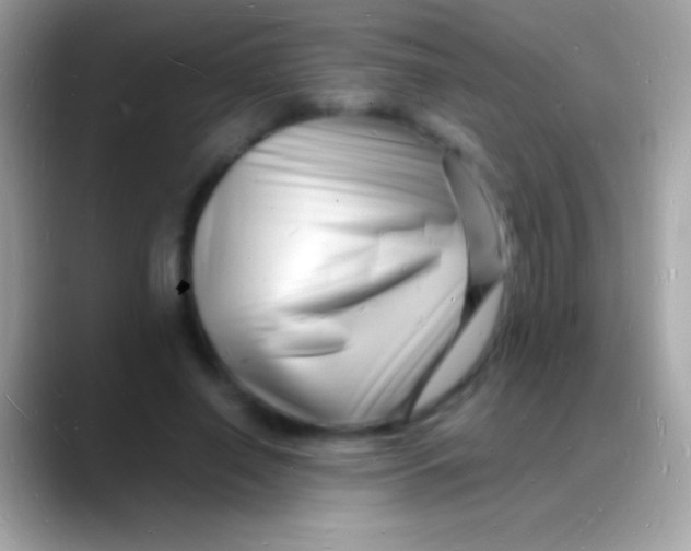 X0000088130638200706041319