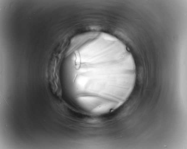 X0000088130639200706041319