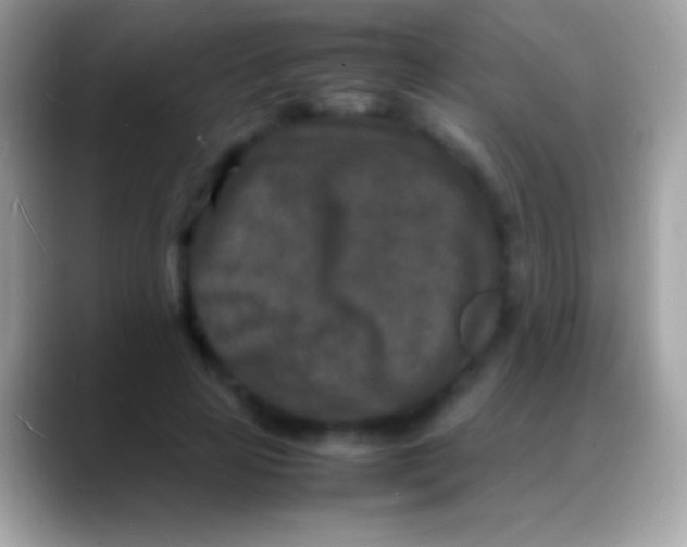 X0000088130641200706041319