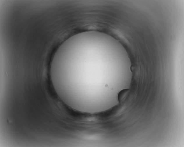 X0000088130643200706041319