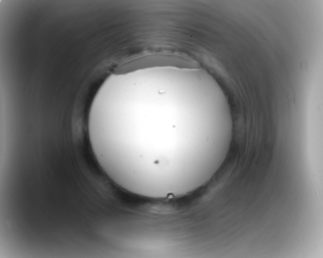 X0000088130644200706041319