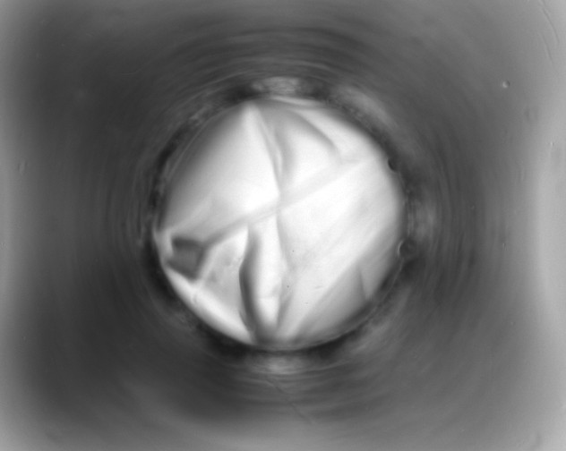 X0000088130645200706041319