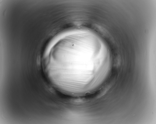 X0000088130646200706041319