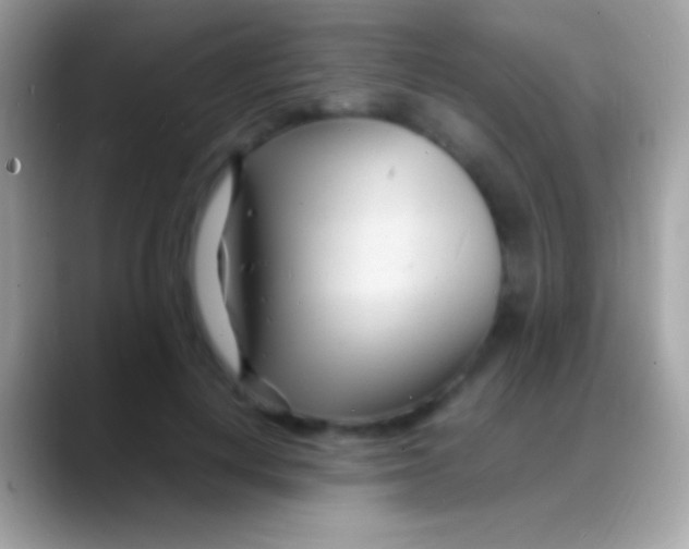 X0000088130648200706041320