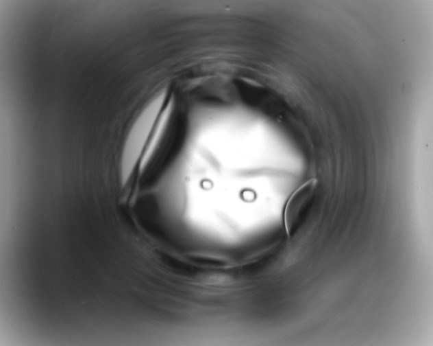 X0000088130649200706041320