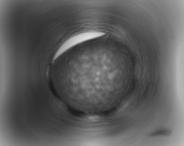 X0000088130650200706041320