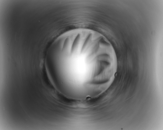 X0000088130652200706041320