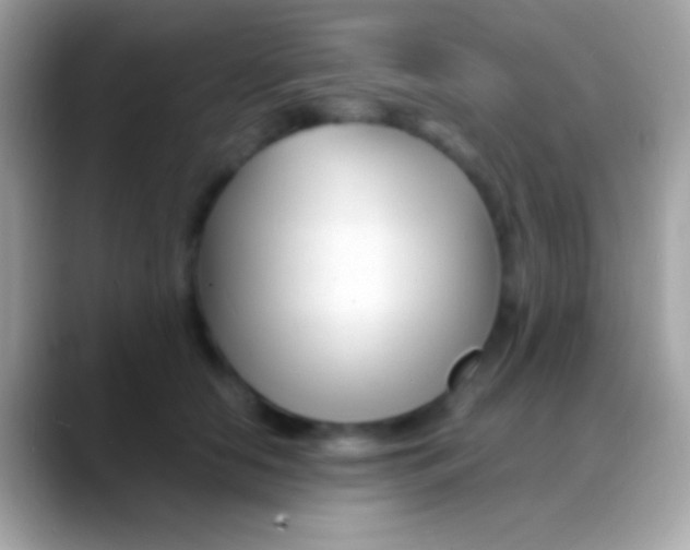 X0000088130658200706041320