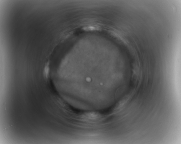 X0000088130659200706041320