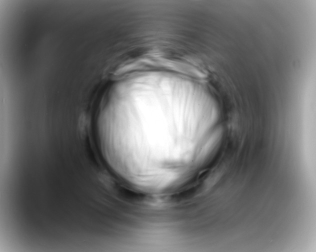 X0000088130660200706041320