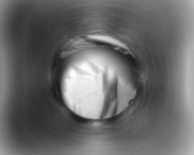 X0000088130662200706041320