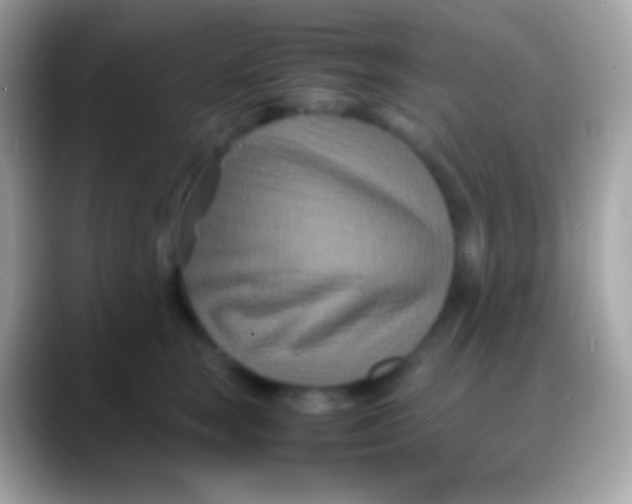 X0000088130663200706041320