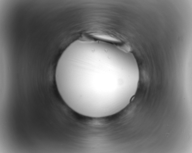 X0000088130664200706041320