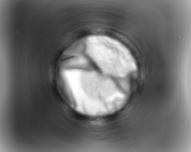 X0000088130667200706041320