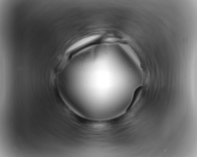 X0000088130669200706041320