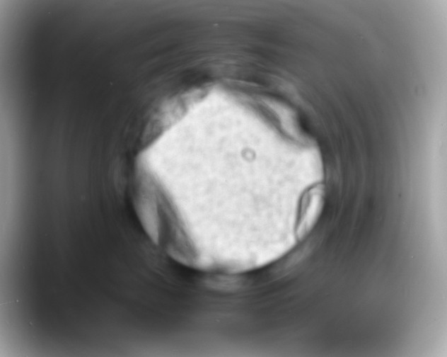 X0000088130671200706041320