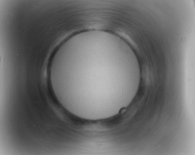 X0000088130674200706041319