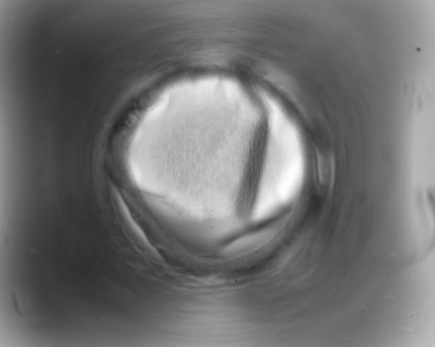 X0000088130675200706041319