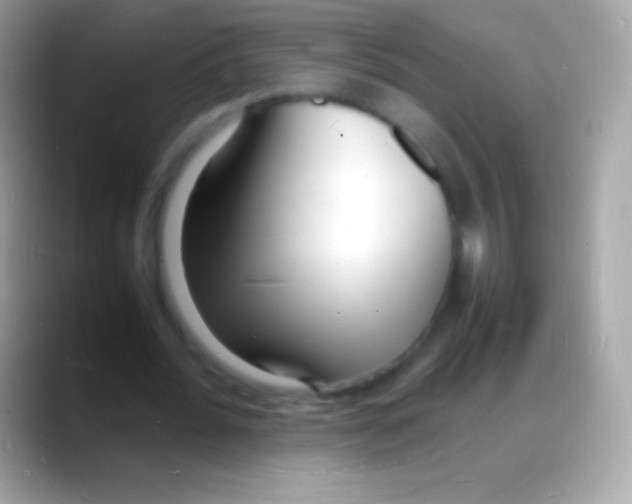 X0000088130676200706041319