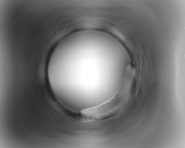 X0000088130677200706041319