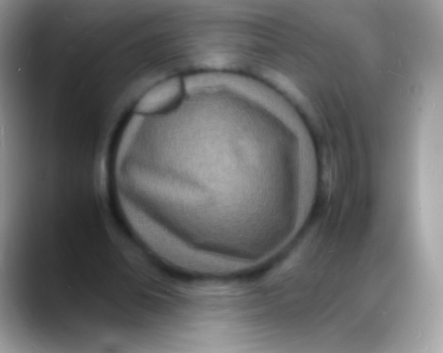 X0000088130678200706041319