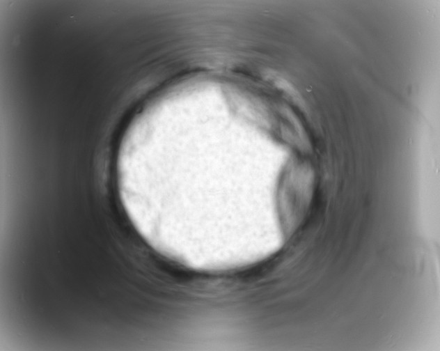 X0000088130679200706041319