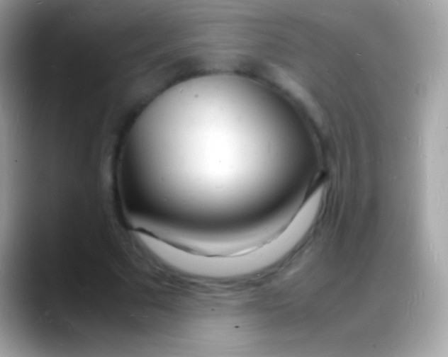 X0000088130681200706041319