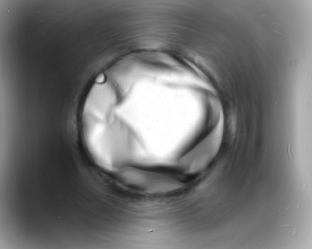 X0000088130682200706041319